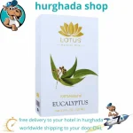 Lotus Eucalyptus Oil for Joint Pain, Muscle Relief, and Respiratory Health