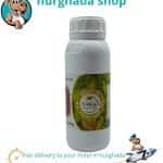 Rocket Oil , Egyptian Arugula Oil for health, energy, skin, and hair benefits